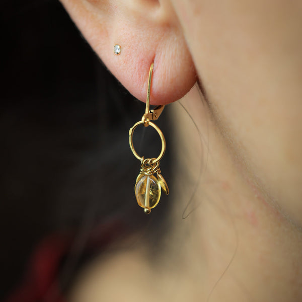 Pétalo Fringe Earrings in Citrine and 24k Vermeil