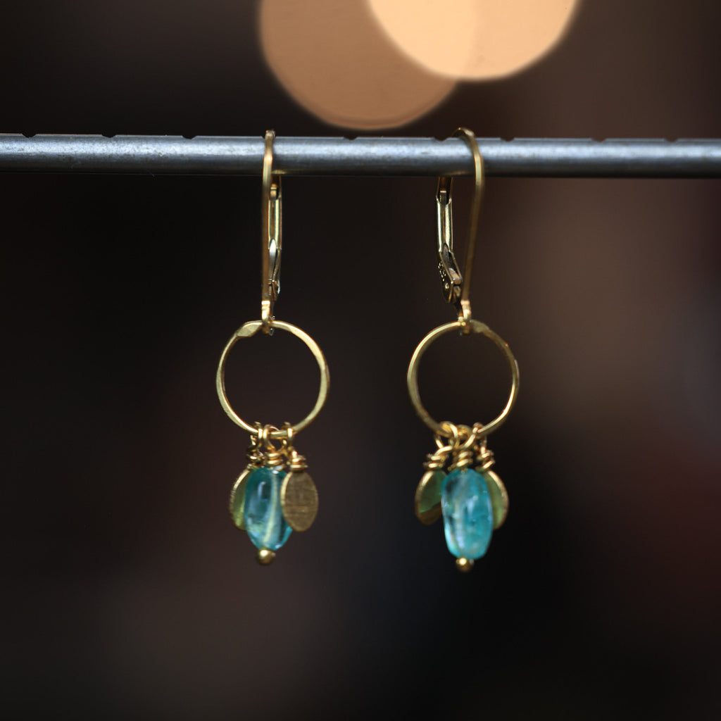 Pétalo Fringe Earrings in Apatite 24k Vermeil