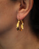 Small Anticlastic Hoops in 24k vermeil